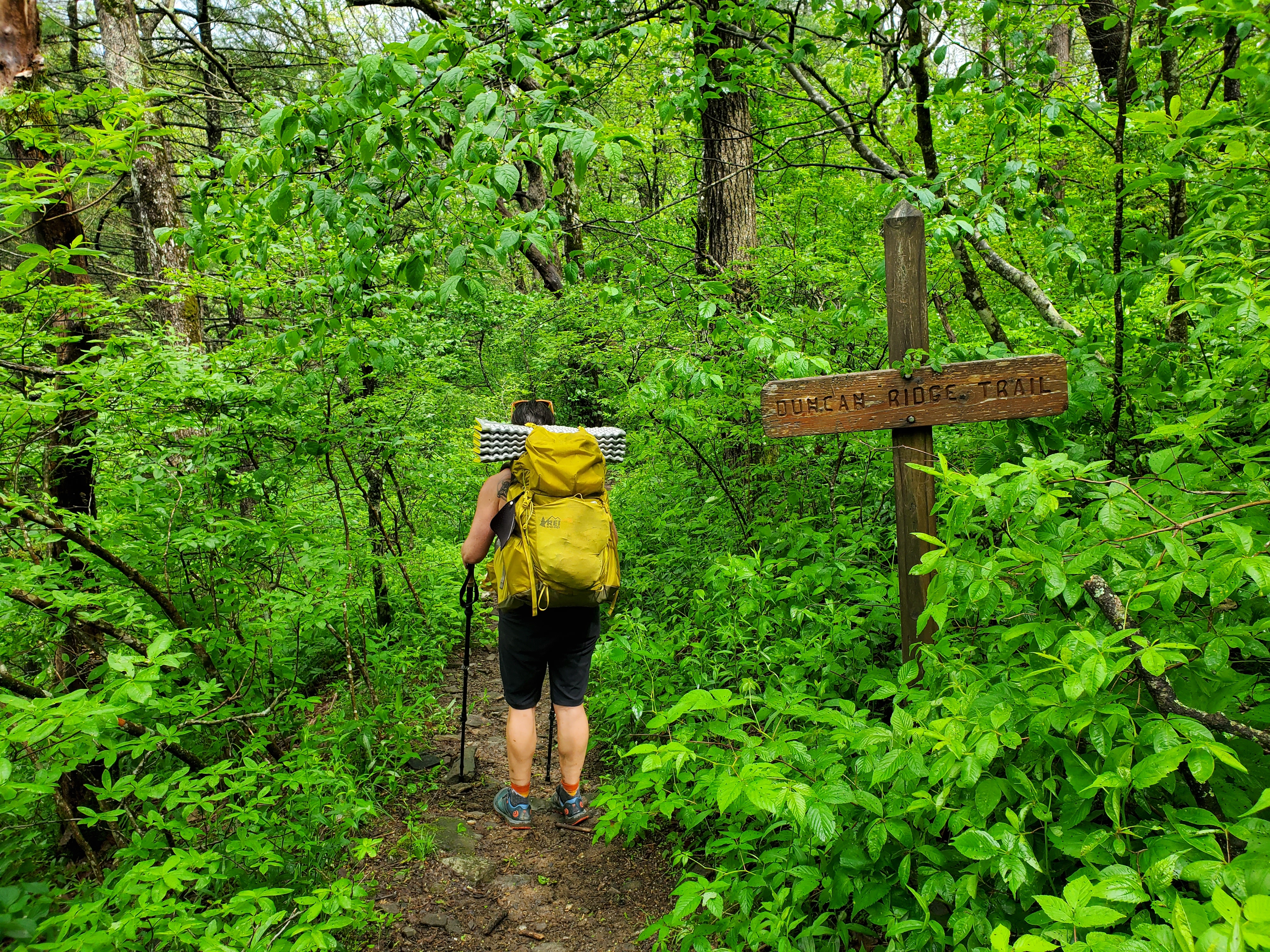 Duncan Ridge Trail Georgia Loop 3-day Backpacking Trip – Steve's Outdoor Life